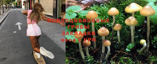 гашик Абдулино